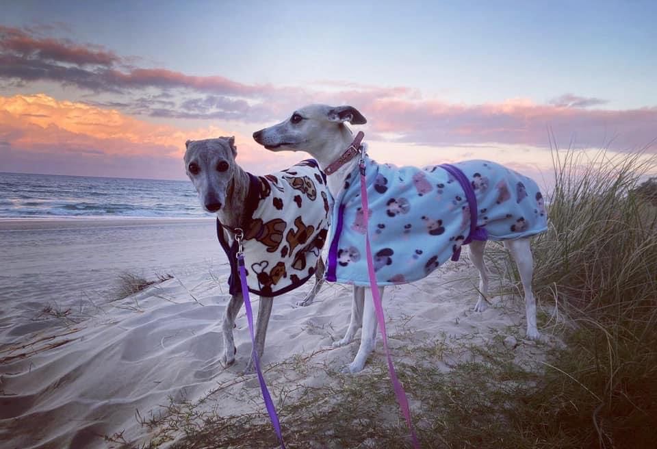 'The Queenslander' light winter coats